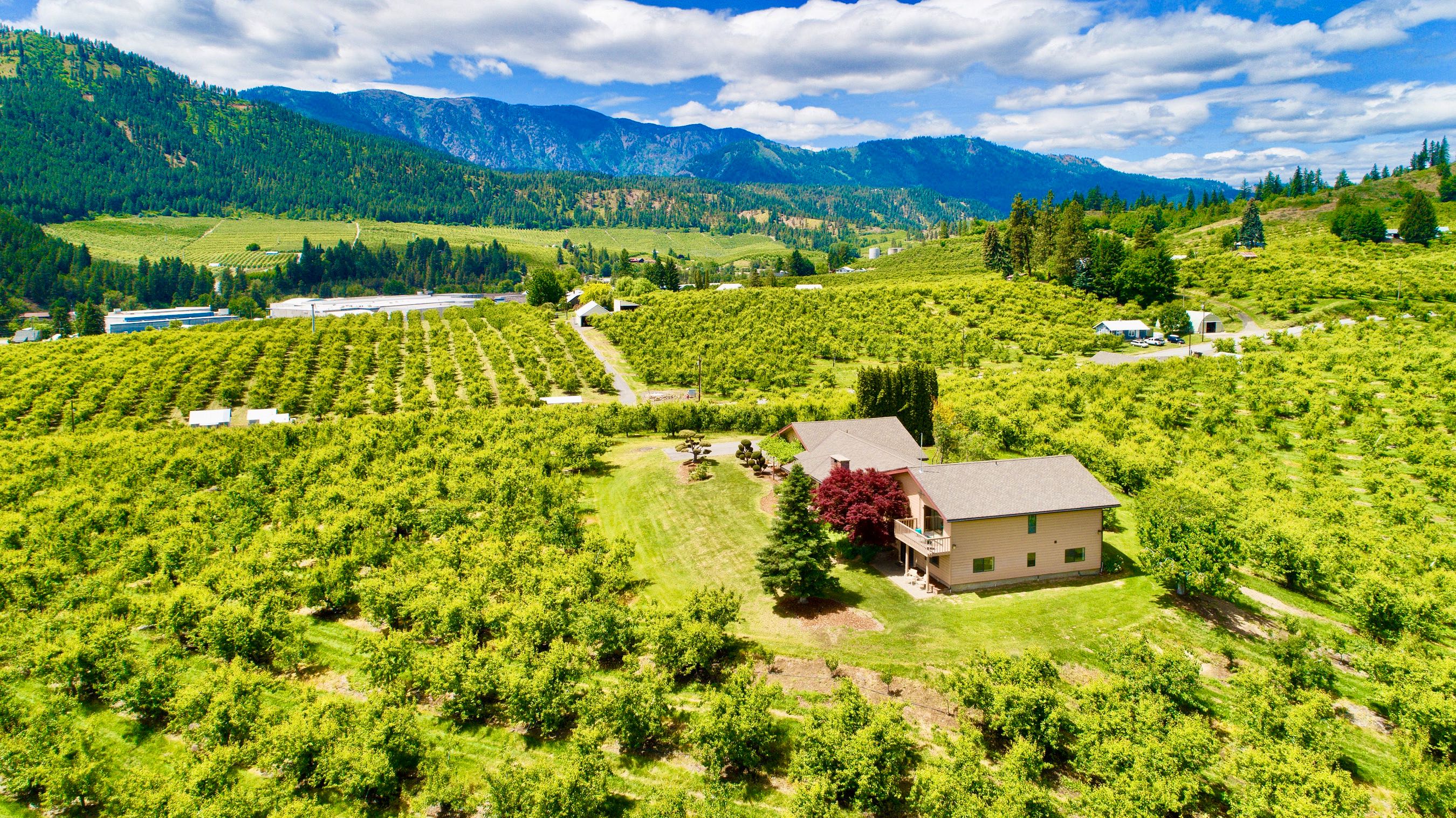 Aerial view of the valley and property area